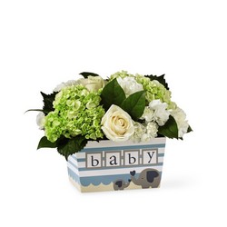 Darling Baby Boy Bouquet Flower Power, Florist Davenport FL